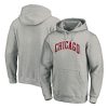 Chicago Bulls Heather Gray Alternate Stylish Logo Pullover Hoodie