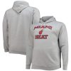 Miami Heat Heathered Gray Big & Tall Heart & Elegant Soul Pullover Hoodie