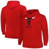 Mitchell & Ness Chicago Elegant Bulls Red Hardwood Classics Big & Tall Pullover Hoodie