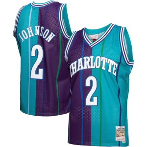 Mitchell & Ness Larry Johnson Charlotte Hornets Teal/Purple Hardwood Classics 1992/93 Split Swingman Stylish Jersey