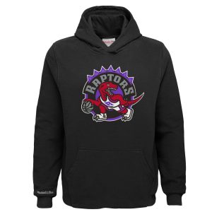 Mitchell & Ness Toronto Raptors Youth Black Hardwood Eye - catching Classics Retro Logo Pullover Hoodie