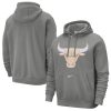 Nike Chicago Bulls Steel 2024/25 City Edition Essential Club Pullover Elegant Hoodie