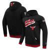 Pro Standard Chicago Bulls Black Script Tail Pullover Hoodie Unique