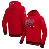 Pro Standard Chicago Bulls Red Script Tail Unique Pullover Hoodie