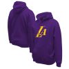 Stadium Eye - catching Essentials Los Angeles Lakers Unisex Purple Primary Logo Pullover Hoodie
