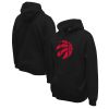 Stadium Fabulous Essentials Toronto Raptors Unisex Black Primary Logo Pullover Hoodie