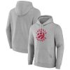 Toronto Raptors Gray Alternate Logo Pullover Hoodie Elegant